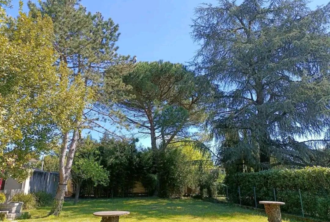 Terrasse Et Jardin, A 2 Minutes Du Centre ! *